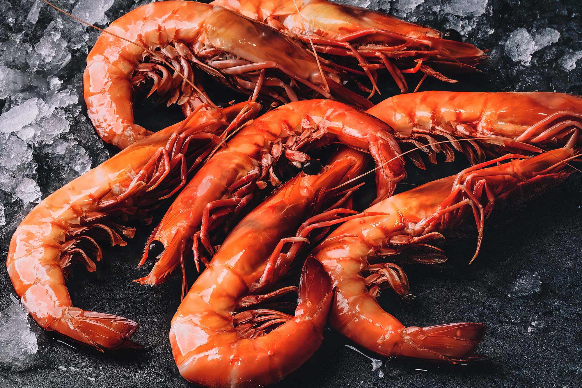 Poached Australian King Prawns